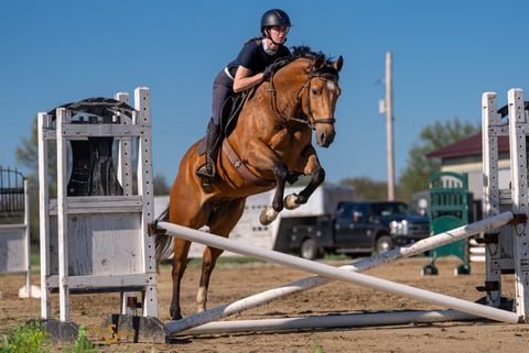 Margies Frosty Buck - Thumbnail 6