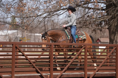 Margies Frosty Buck - Thumbnail 7