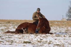 Leading Rein Donte - Thumbnail 2
