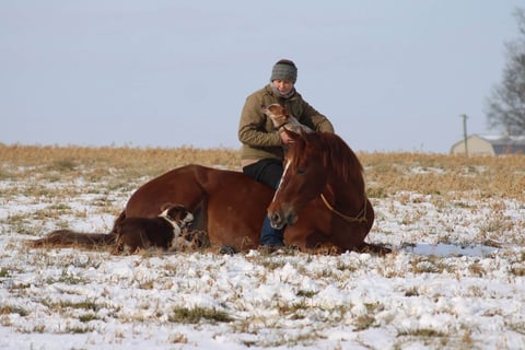 Leading Rein Donte - Thumbnail 2