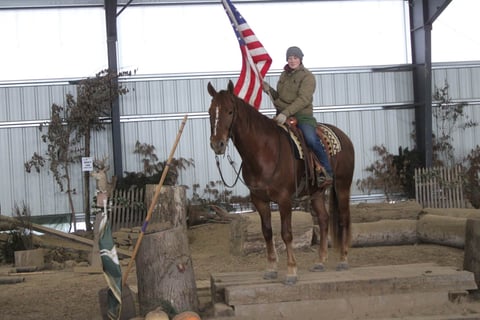 Leading Rein Donte - Thumbnail 5