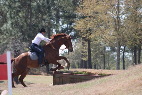 Leading Rein Donte - Thumbnail 7