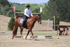 Leading Rein Donte - Thumbnail 8