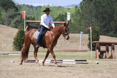 Leading Rein Donte - Thumbnail 8