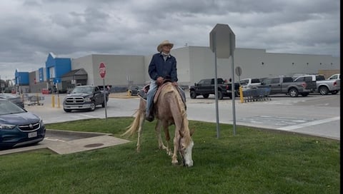 Sweet Strawberry Sensation - Thumbnail 2