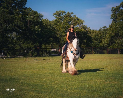 DGR PV - Thumbnail 3