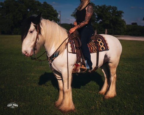 DGR PV - Thumbnail 5