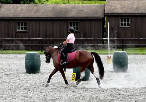 Huckleberry Finn - Thumbnail 3