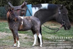Huckleberry Finn - Thumbnail 1