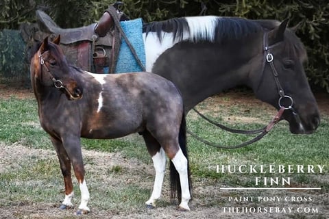 Huckleberry Finn - Thumbnail 1