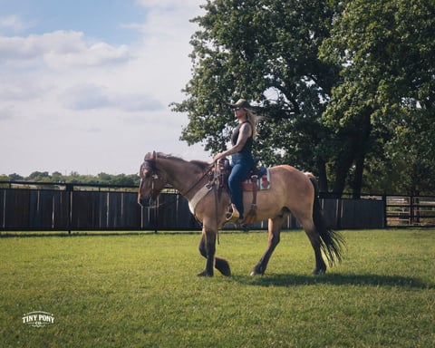 Rocky Boy West - Thumbnail 3