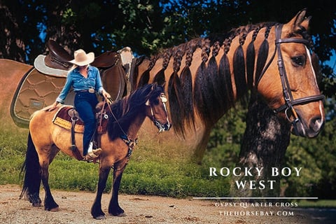 Rocky Boy West - Thumbnail 1