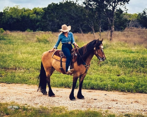 Rocky Boy West - Thumbnail 4