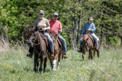 Southern Tercet - Thumbnail 4
