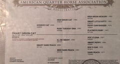 Smart Driving Cat - Thumbnail 4