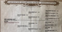 RR Karona Kat - Thumbnail 5