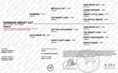 SANMANS SMART CAT - Thumbnail 3