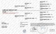 LUMI CAT SPOTS R HOT - Thumbnail 4