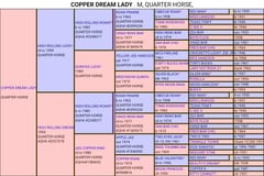 Copper Dream Lady - Thumbnail 6