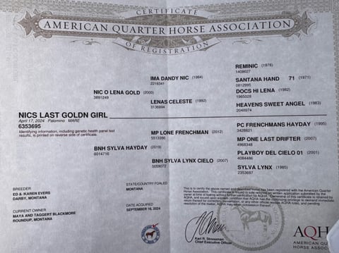 Nics Last Goldn Girl - Thumbnail 6