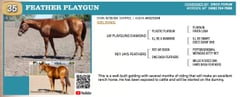 FEATHER PLAYGUN - Thumbnail 3