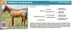 LEGEND OF QUAHADI - Thumbnail 2