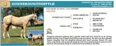 GUNNERDUNITINSTYLE - Thumbnail 3
