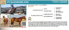 PV HANDSOME ICHI - Thumbnail 4