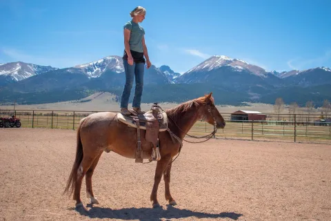 TD Smart Hickory - Thumbnail 3