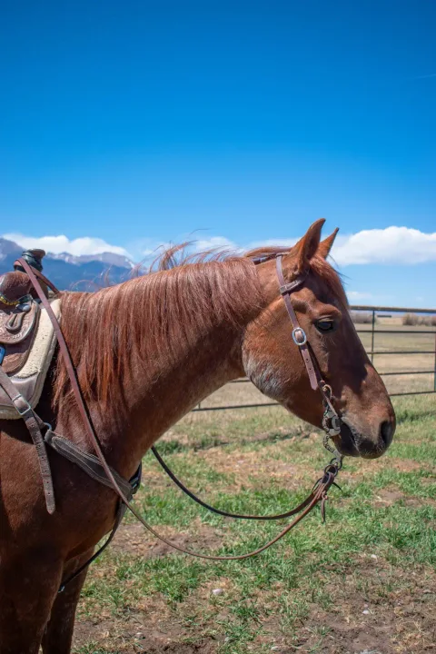 TD Smart Hickory - Thumbnail 4