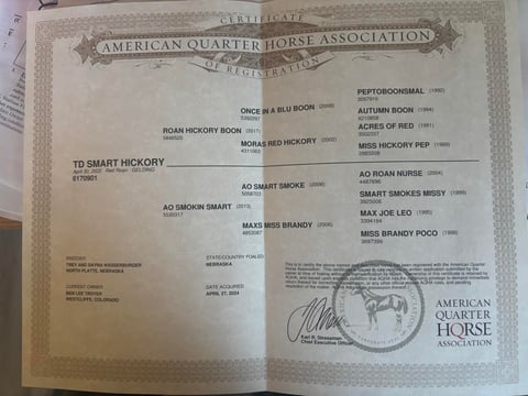 TD Smart Hickory - Thumbnail 5