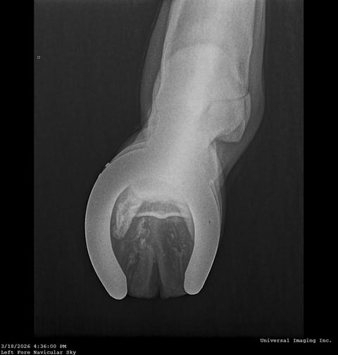 TD Smart Hickory - Thumbnail 6