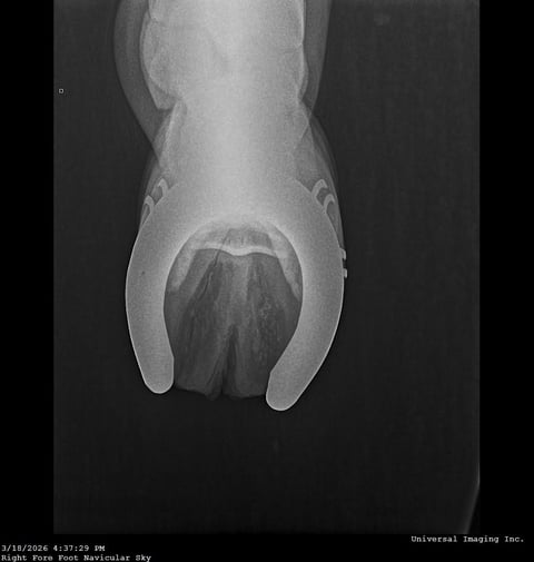 TD Smart Hickory - Thumbnail 7