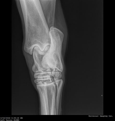 TD Smart Hickory - Thumbnail 8