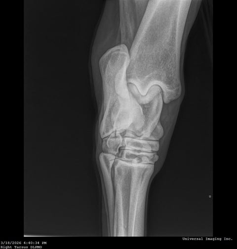 TD Smart Hickory - Thumbnail 9