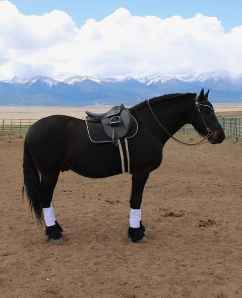 Babes Prince - Thumbnail 5