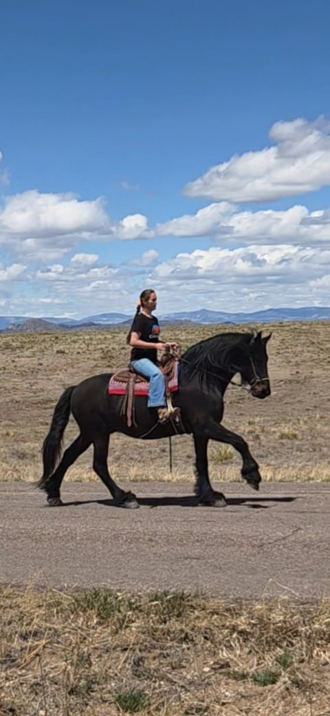 Babes Prince - Thumbnail 9