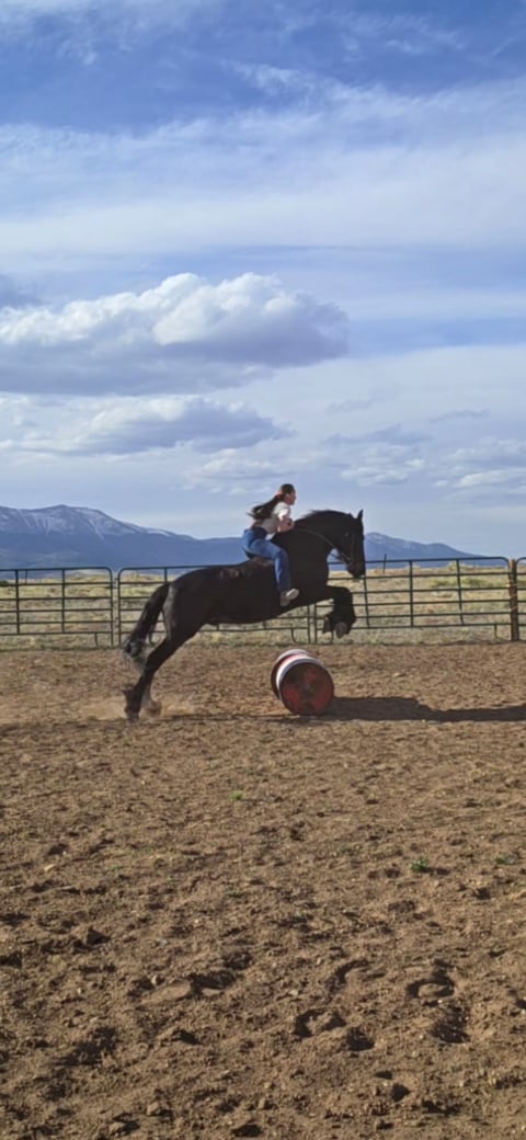 Babes Prince - Thumbnail 8