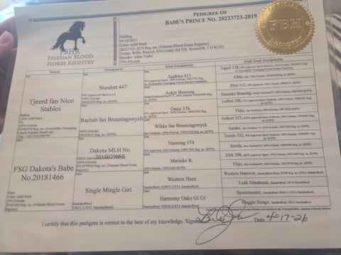 Babes Prince - Thumbnail 10