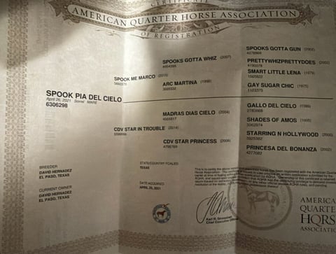 Spook Pia Del Cielo - Thumbnail 2