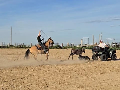 Stirrup Leo Wonder - Thumbnail 6