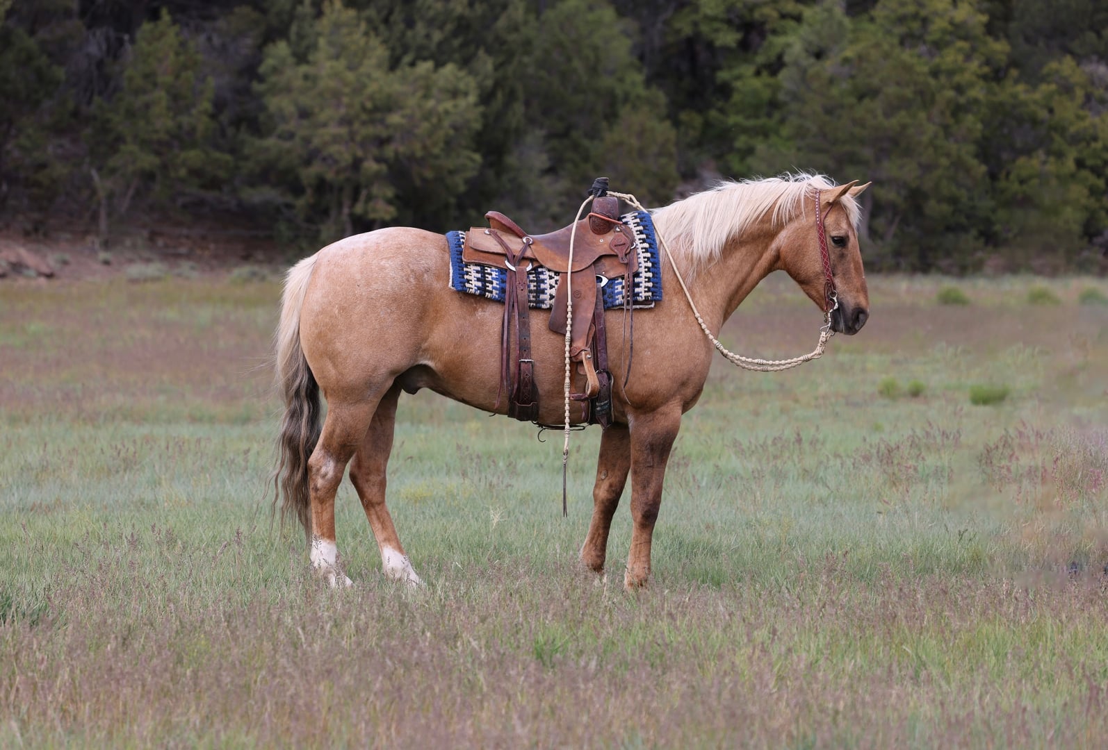 Big Iron