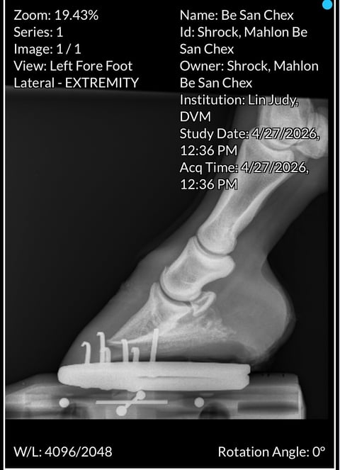 BE San Chex - Thumbnail 10