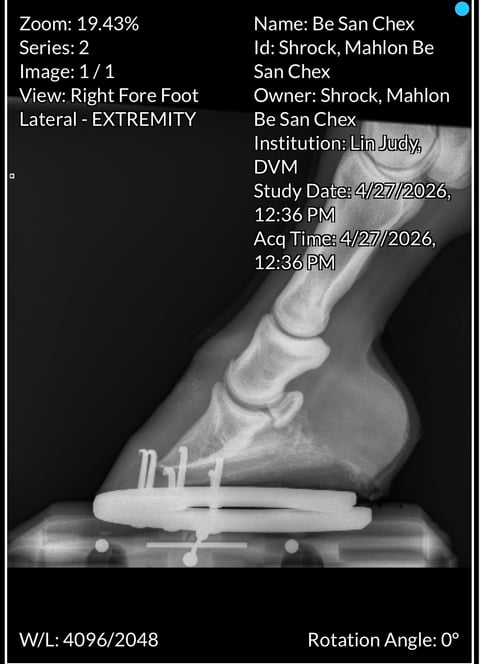 BE San Chex - Thumbnail 11