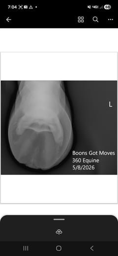 Boons Got Moves - Thumbnail 5