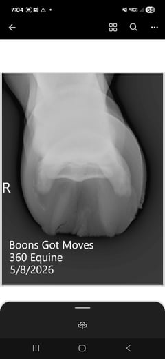 Boons Got Moves - Thumbnail 6