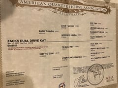 Zacks Dual Drive Cat - Thumbnail 2