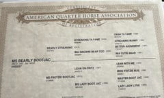 MS Bearly Bootjac - Thumbnail 4