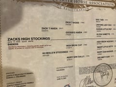 Zacks High Stockings - Thumbnail 3