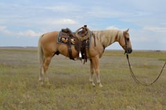 Cornbread - Thumbnail 2